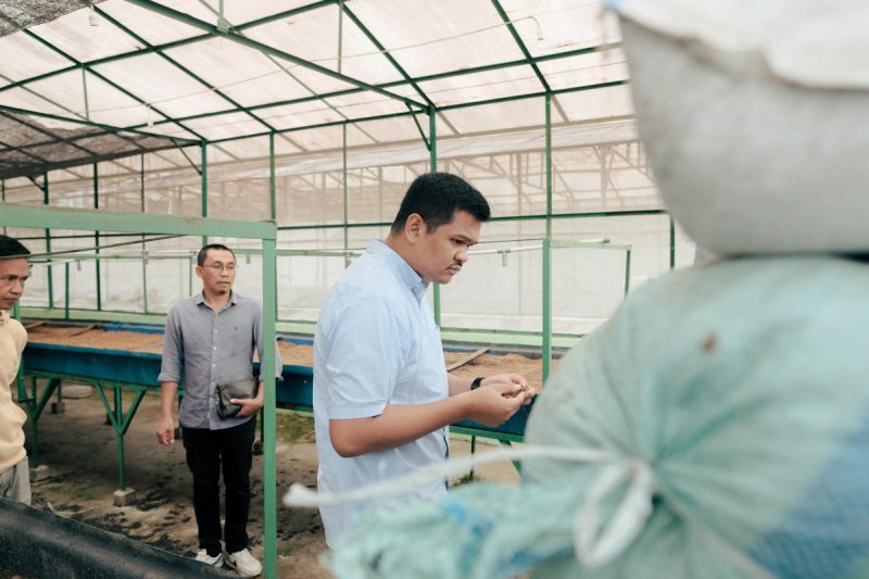 Balai Benih Era Nurdin Abdullah Yang Terbengkalai Siap Direvitalisasi Uji Nurdin