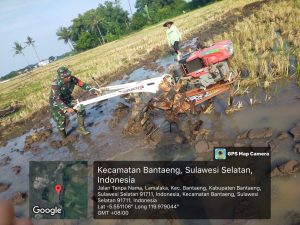 Babinsa Lamalaka Bantu Petani Olah Lahan Sawah Dalam Kegiatan Luas Tambah Tanam