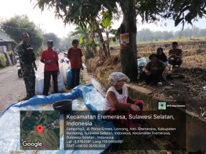Babinsa Lonrong Jalin Komsos di Tengah Panen, Pererat Sinergi TNI dan Petani