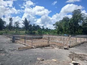Embung menjadi simbol ketahanan pangan dan Kesejahteraan Masyarakat Desa Barua Kecamatan Eremerasa Bantaeng