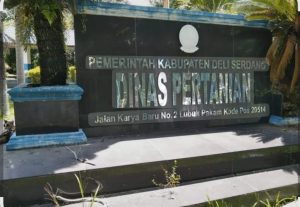 PLT Kabid Sarana dan Prasarana Deli Serdang Diduga Langgar Aturan, Tunjuk Koordinator Penyuluh Tak Kompeten